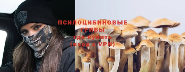 СК Алексеевка