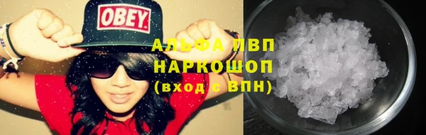 крисы Алзамай