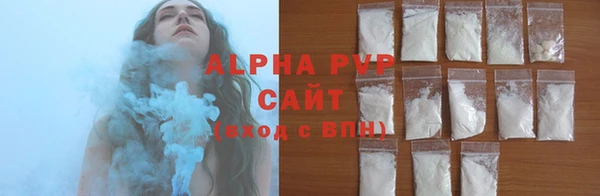 крисы Алзамай