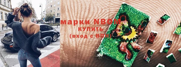 крисы Алзамай