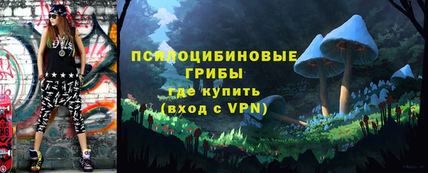 эйфоретик Алексин